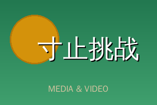 寸止挑战