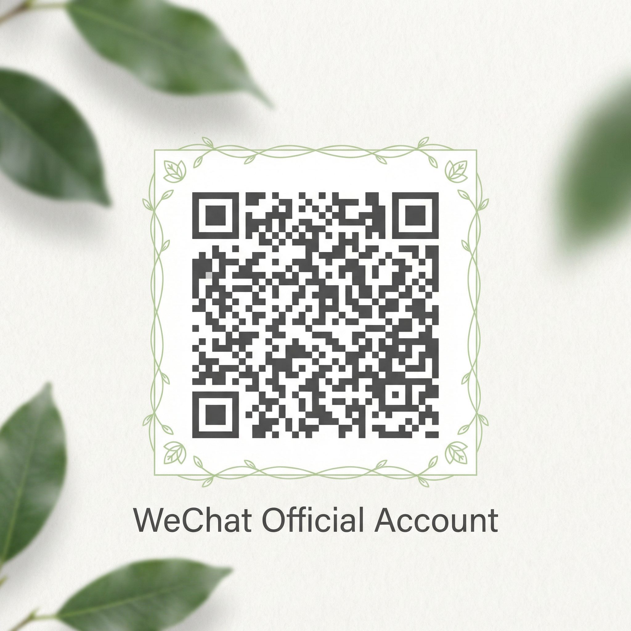 寸止挑战公众号二维码